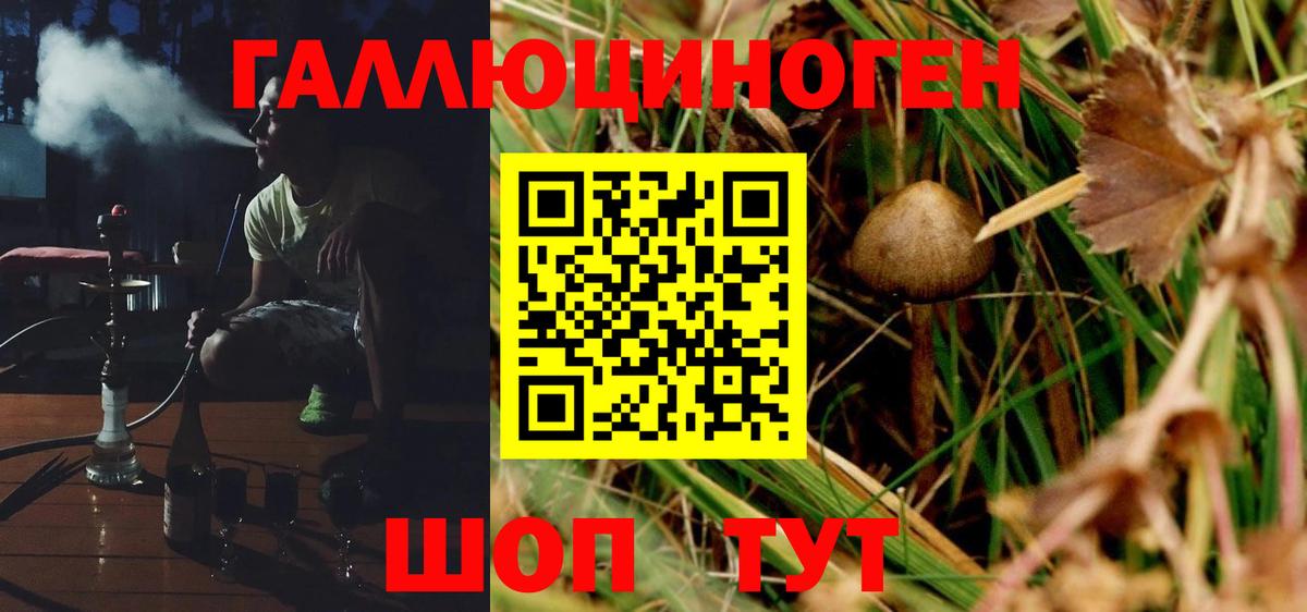 Псилоцибиновые грибы мицелий Кстово