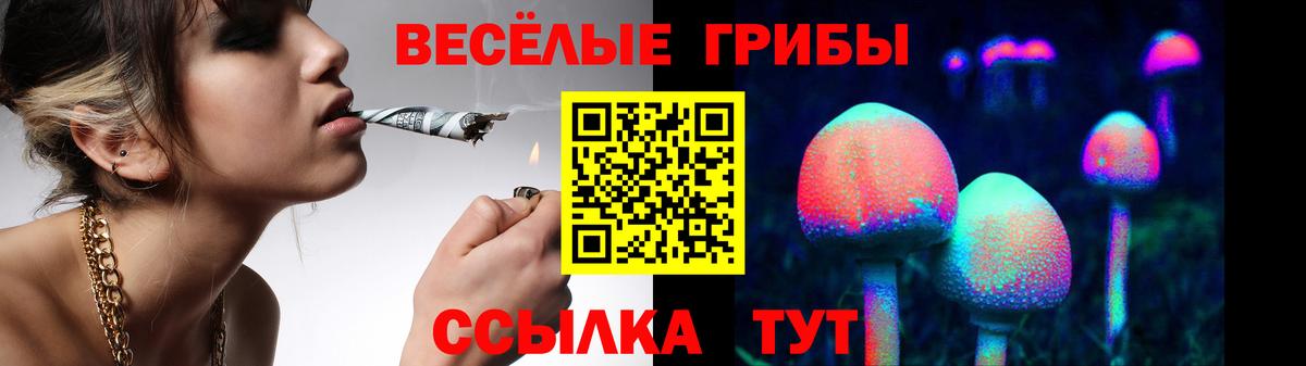 Псилоцибиновые грибы Psilocybine cubensis  Вход с VPN  Кстово  Галлюциногенные грибы MAGIC MUSHROOMS 